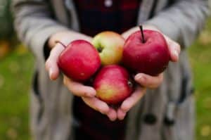 Gesunde Äpfel - Apfel für deine Gesundheit